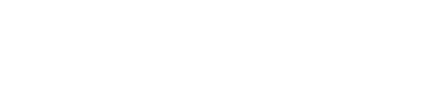 mircea-signature
